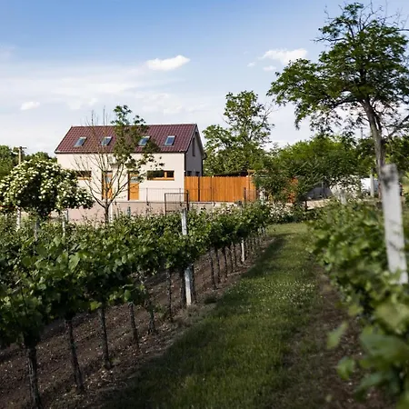 Sklep Na Spravnem Miste - Degustace, Ubytovani A Wellness Brod nad Dyji Exterior photo
