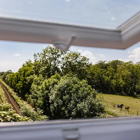 Sklep Na Spravnem Miste - Degustace, Ubytovani A Wellness Brod nad Dyji Exterior photo