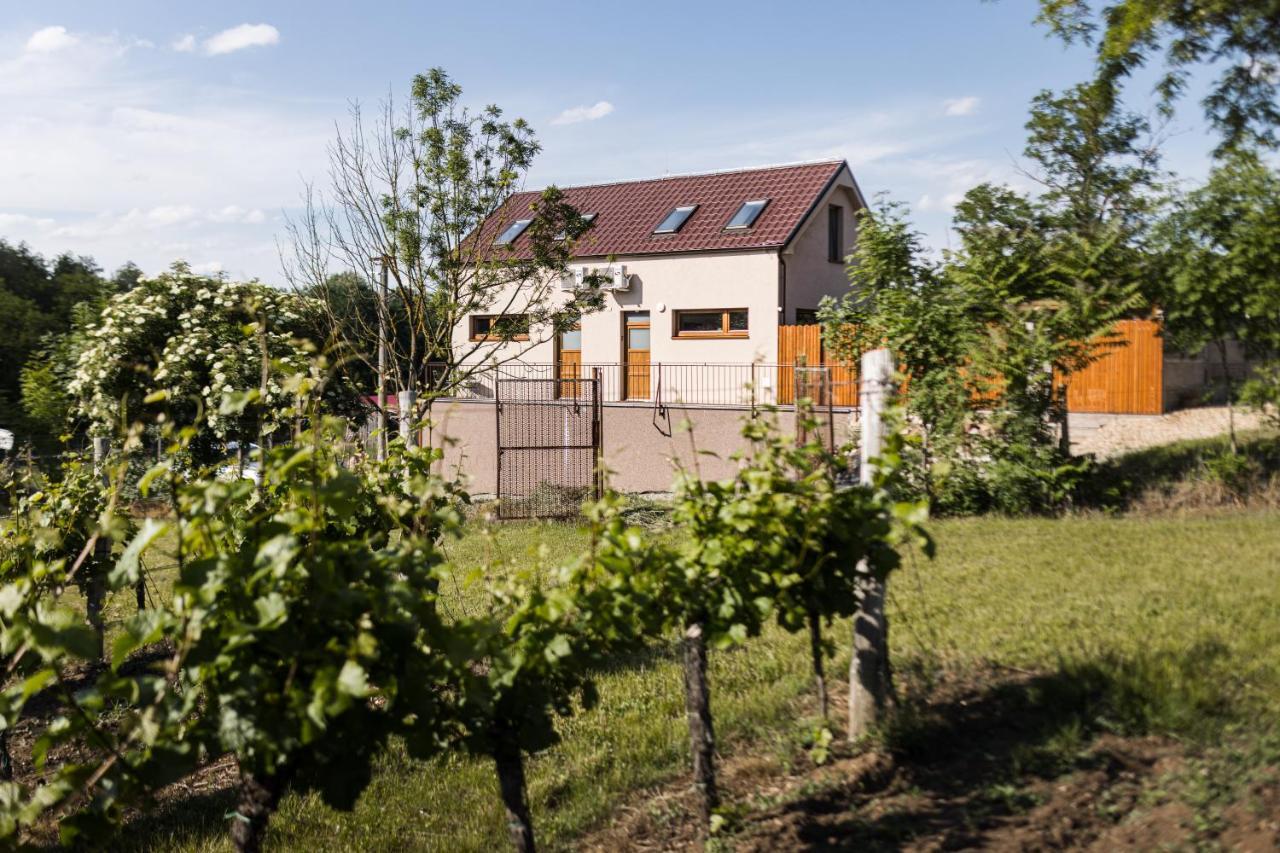 Sklep Na Spravnem Miste - Degustace, A Wellness *
