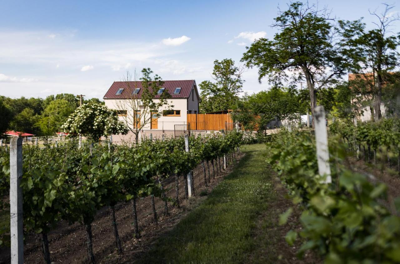 Sklep Na Spravnem Miste - Degustace, A Wellness